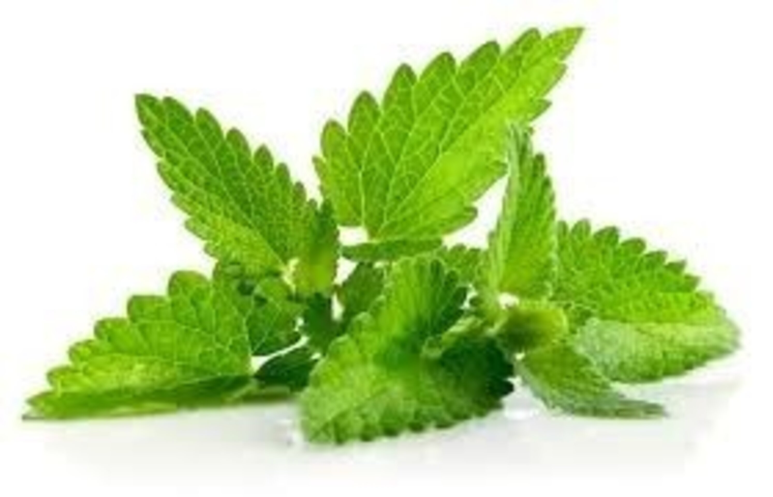 Jabón profesional Menta verde claro Aromaterapia Barra 2Kg - 2